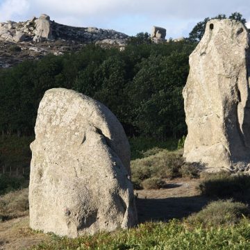 5- il Pellicano e Civetta