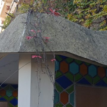 4 - la mantovana - particolare